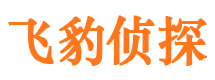 长葛外遇调查取证